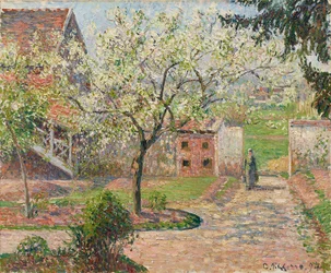 Blühende Pflaumenbäume, Éragny. Das Haus des Malers, 1894