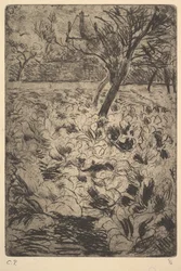 Das Kohlbeet, ca. 1880