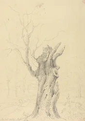 Im Park von Lord Yarborough, Appuldurcombe, Isle of Wight