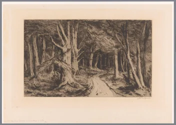 Waldrand mit Waldweg