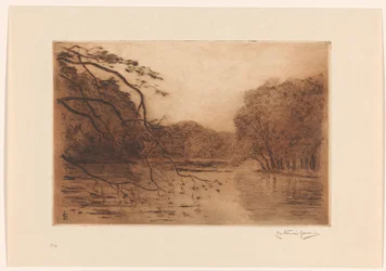 Teich im Haagse Bos