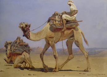 Kamel, das sich zum Niederlegen bereitmacht, 1858