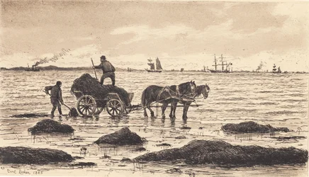 Bauern fahren Tang
