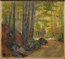 Pfad durch den Wald
