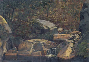 Waldbach (Wasserfall zwischen Felsblöcken)
