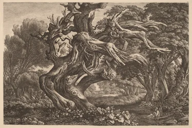 Eine tote Eiche
