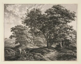 Landschaft