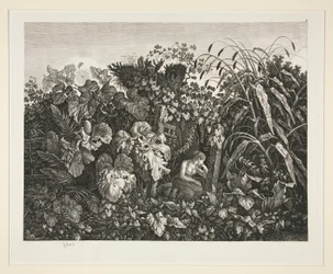 Landschaft