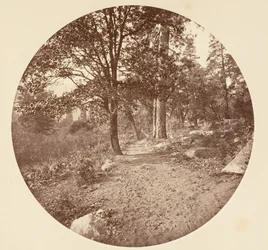 Im Yosemite-Tal, ca. 1878