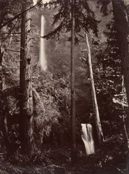 Multnomah Falls, Oregon, 1867, später gedruckt