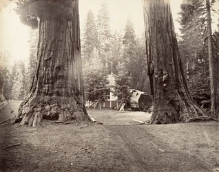 Die Wachen, 315 Fuß, Yosemite