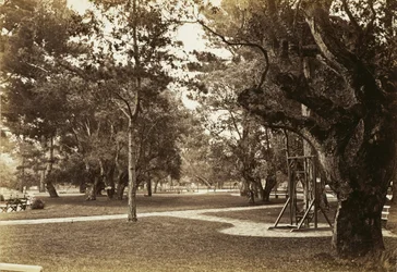[Park beim Hotel del Monte, Monterey?]