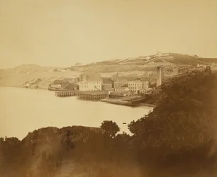 Wollspinnerei, San Francisco