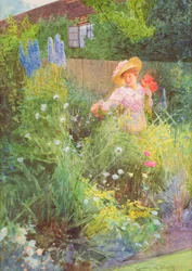 Dame pflückt Blumen in einem Landgarten