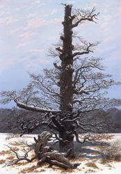Winterlandschaft (Kahler Baum)