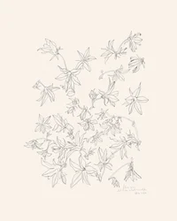 Botanische Blumenstudie