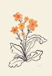 Lebendige orangefarbene Blumen