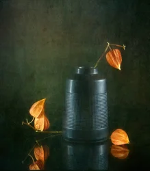 Herbstlaternen und Vase