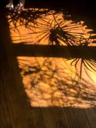 Komposition - Schatten, 2019