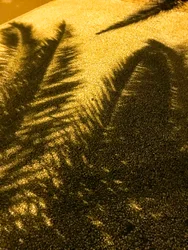 Komposition - Schatten, 2021
