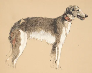 Borzoi, 1930, Illustrationen aus seinem Skizzenbuch verwendet für Just Among Friends, später veröffentlicht von Eyre und Spottiswoode Limited, 1934
