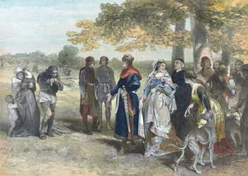 Floris V., Graf von Holland und Zeeland