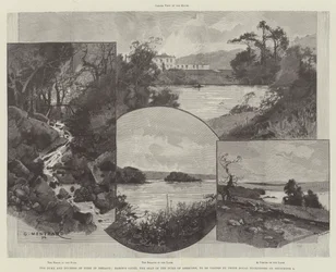 Der Herzog und die Herzogin von York in Irland, Baron