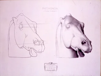 Pferdekopf vom Westgiebel des Parthenon, Tafel 47 aus Cours de Dessin, ca. 1898