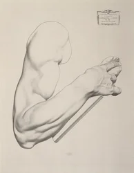Eindruck auf grauem Papier, 1868