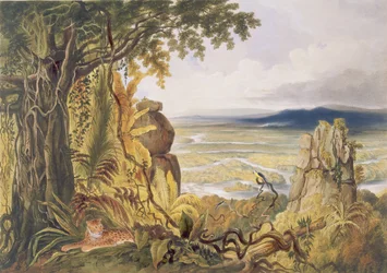 Der Comuti- oder Taquiare-Felsen am Essequibo, aus „Ansichten aus dem Inneren Guayanas“, gestochen von George Barnard (tätig 1832-90), veröffentlicht von Ackermann, 1840