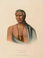 LAP-PA-WIN-SOE. Ein Delaware-Häuptling, aus Geschichte der Indianerstämme Nordamerikas