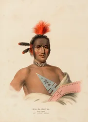 MOA-NA-HON-GA. GROSSER WANDERER. EIN IOWAY-HÄUPTLING., aus Geschichte der Indianerstämme Nordamerikas