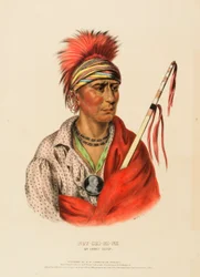 NOT-CHI-MI-NE. Ein Ioway-Häuptling, aus Geschichte der Indianerstämme Nordamerikas