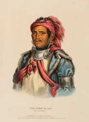 TENS-KWAU-TA-WAW. DER PROPHET, aus Geschichte der Indianerstämme Nordamerikas