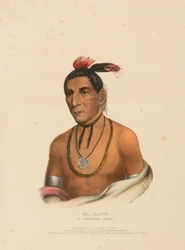 WA-KAWN, EIN WINNEBAGO-HÄUPTLING, aus der Geschichte der Indianerstämme Nordamerikas