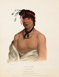 WESH-CUBB. Ein Chippewa-Häuptling, aus Geschichte der Indianerstämme Nordamerikas