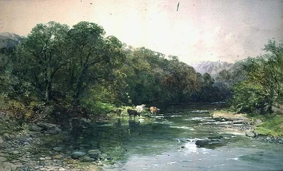 Am Dee, Nordwales: Vieh trinkt