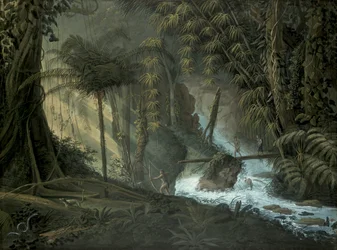 Brasilianischer Wald