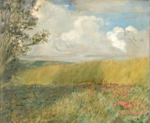 Das Kornfeld