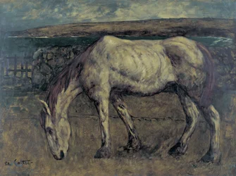 Altes Pferd im Ödland