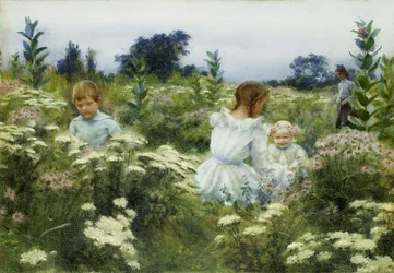 Unter den Wildblumen