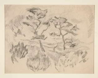 Landschaft (Bermuda oder Provincetown?)