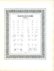 Kalligraphische Eckelemente - Traits de Plume Coins