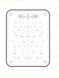 Kalligraphische Verzierungen und dekorative Elemente