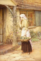 Die süßeste Rose