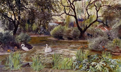Londoner Zoo: Drei-Insel-Teich (Farblithografie)
