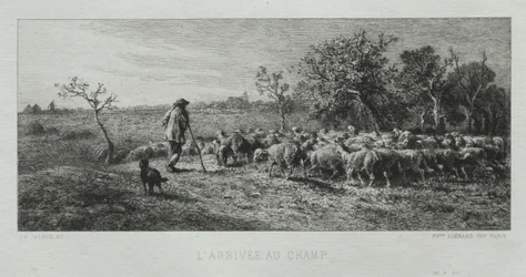Ankunft auf dem Feld