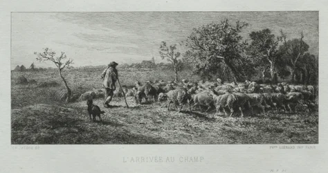 Ankunft auf dem Feld