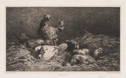 Hühner