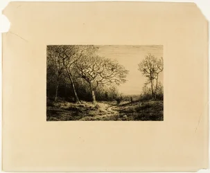 Waldrand